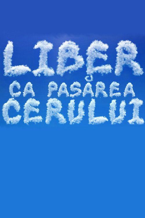 profile image Vizionează Liber ca pasărea cerului EP.8 (Episodiu 8) online subtitrat