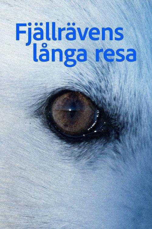 profile image Streama Film Fjällrävens långa resa 【2026】 med Svenska Undertexter