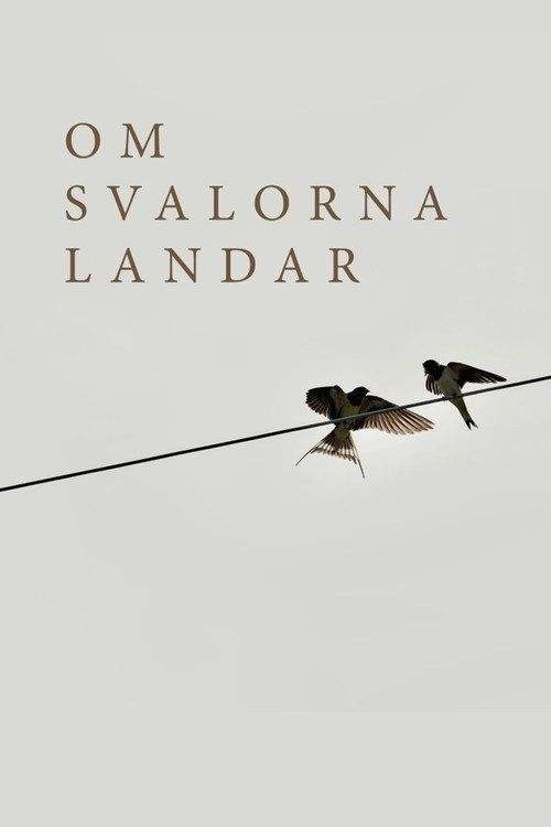 profile image Streama Film Om svalorna landar 《2026》 med Svenska Undertexter