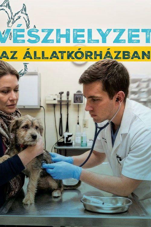 profile image Streameld Vészhelyzet az állatkórházban EP.5 (Epizód 5) magyar felirattal ingyen