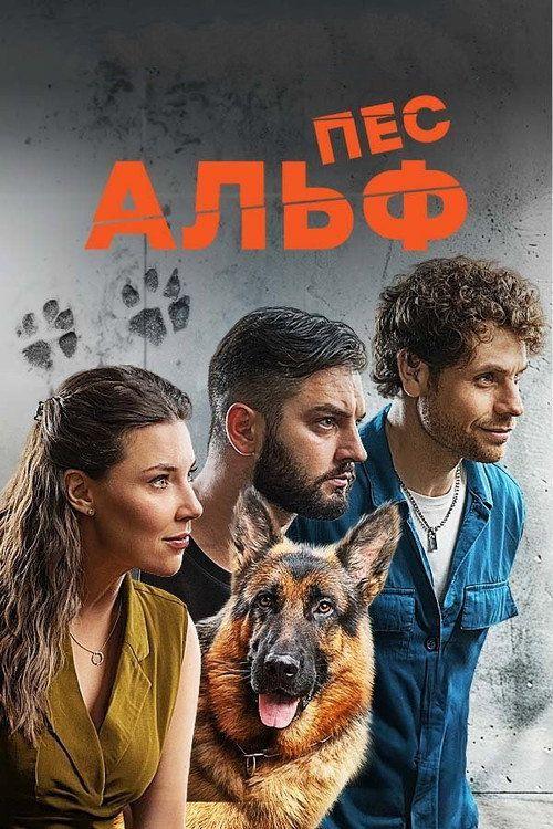 profile image Стримити Пес Альф EP.24 (Епізод 24) з українськими субтитрами онлайн