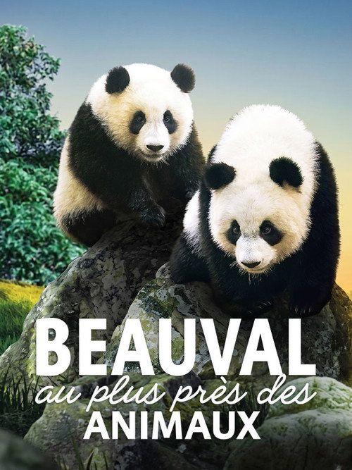 profile image Voir Beauval, au plus près des animaux EP.4 (Épisode 4) en streaming vostfr