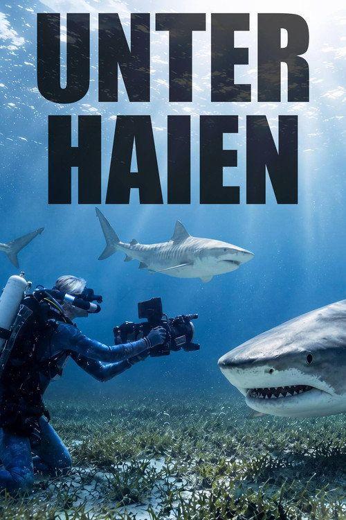 profile image Schau Unter Haien EP.2 (Episode 2) mit deutschen untertiteln online