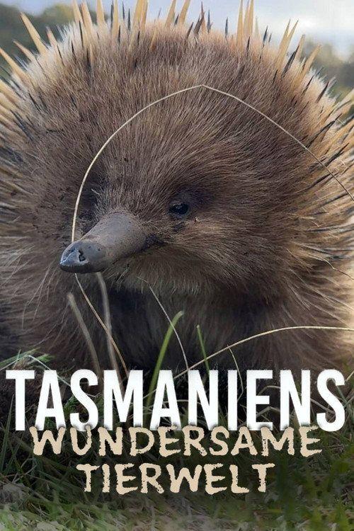 profile image Stream Tasmaniens wundersame Tierwelt EP.2 (Episode 2) auf deutsch kostenlos