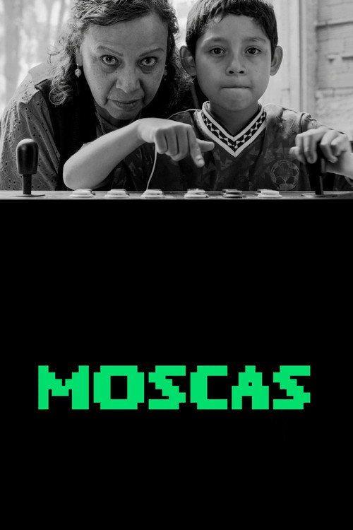 profile image ดาวน์โหลดหนัง Moscas 【2026】 ซับไทย เต็มเรื่อง | [•Flies 2026•]