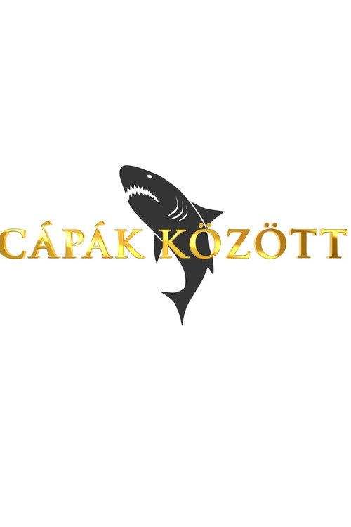 profile image Streameld Cápák között S9 EP.13 (Évad 9 Epizód 13) magyar felirattal ingyen