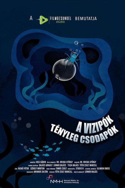 profile image Streameld A vízipók tényleg csodapók EP.1 (Epizód 1) magyar felirattal ingyen