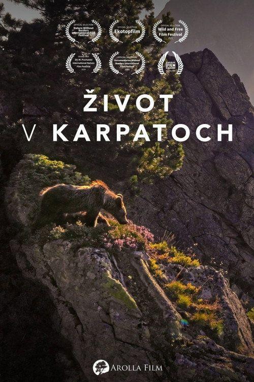 profile image Streamuj Život v Karpatoch EP.4 (Epizóda 4) so slovenskými titulkami zdarma