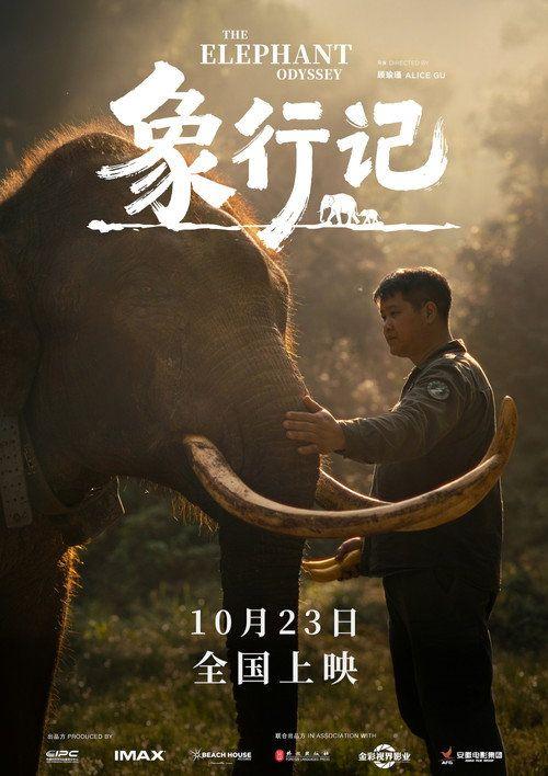 profile image 在线观看电影 『象行记』 〔2026〕 中文字幕