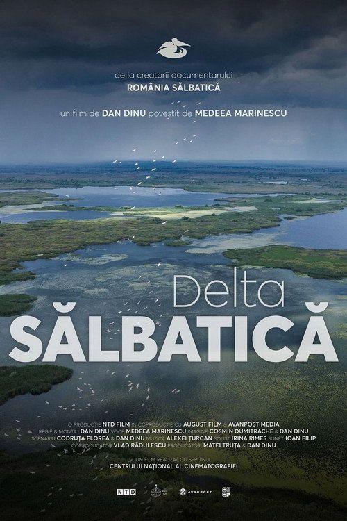 profile image Uită-te la Film Delta Sălbatică 〔2026〕 Subtitrat în Română