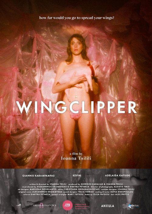 profile image Ρίξε ταινία Wingclipper 《2026》 με ελληνικούς υπότιτλους online