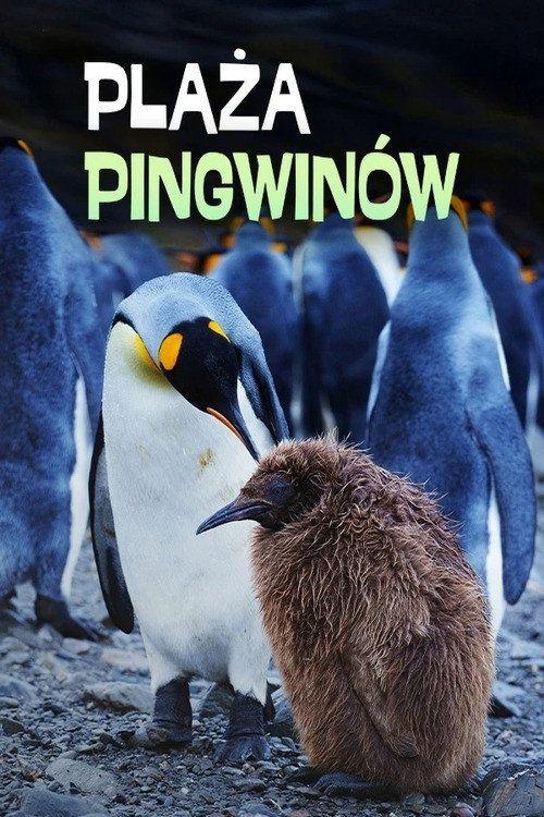 profile image Voir Penguin Baywatch EP.2 (Épisode 2) en streaming vostfr