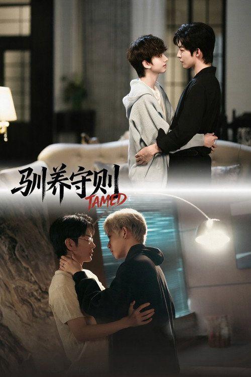profile image 在线观看 『驯养守则 EP.2-4 (集 2-4)』 中文字幕
