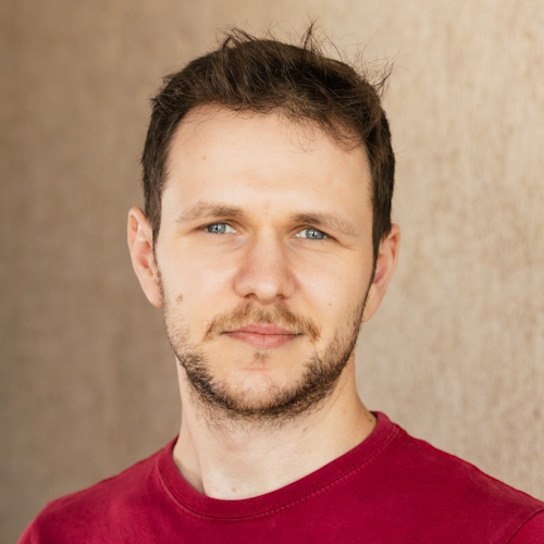 profile image Nicu Calcea