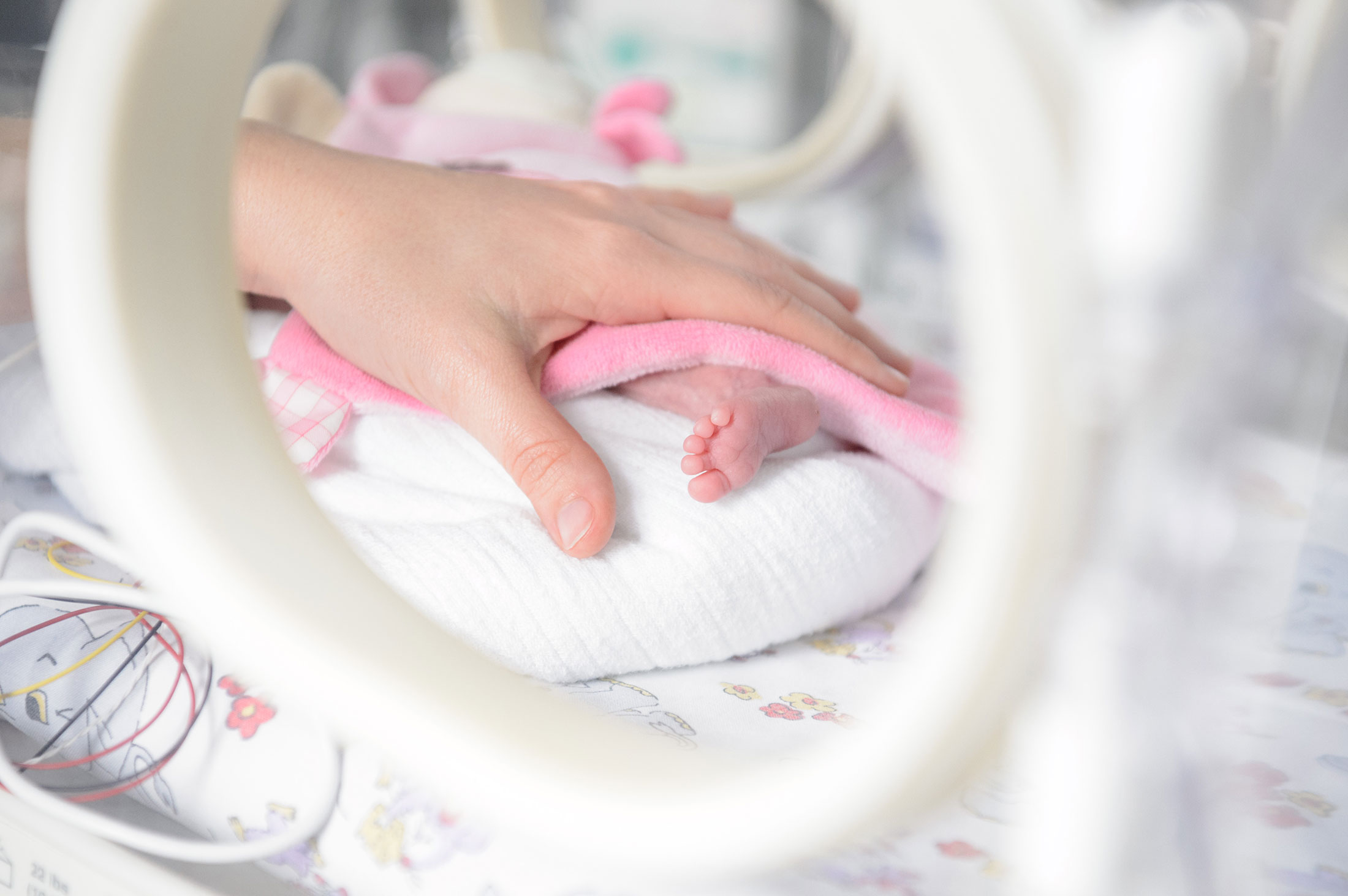 Blick in einen Inkubator: Ein winziger Babyfuß schaut unter einer Decke hervor und wird von einer Frauenhand umfasst