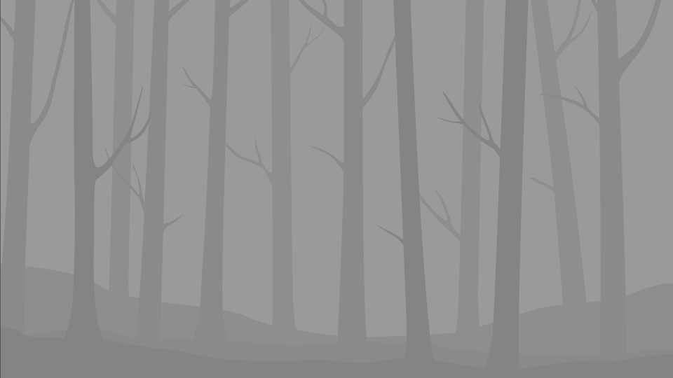 Placeholder image for the facts and figures