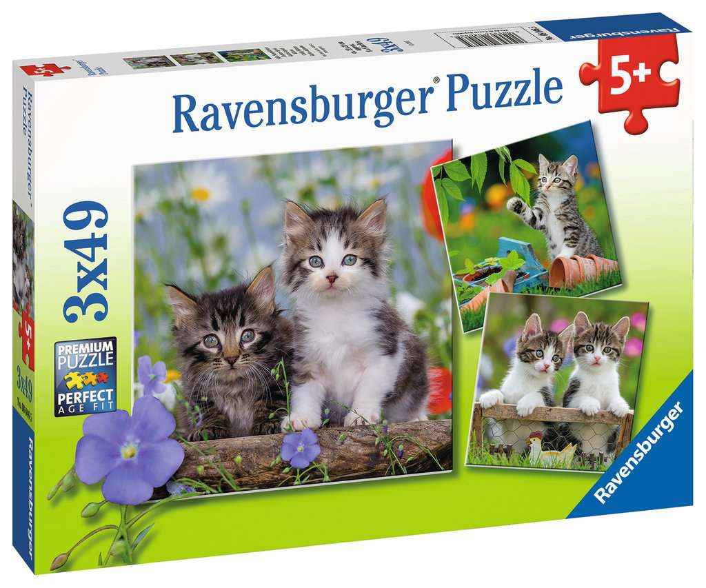 Puzzle: Süße Samtpfötchen (3x49 Teile)