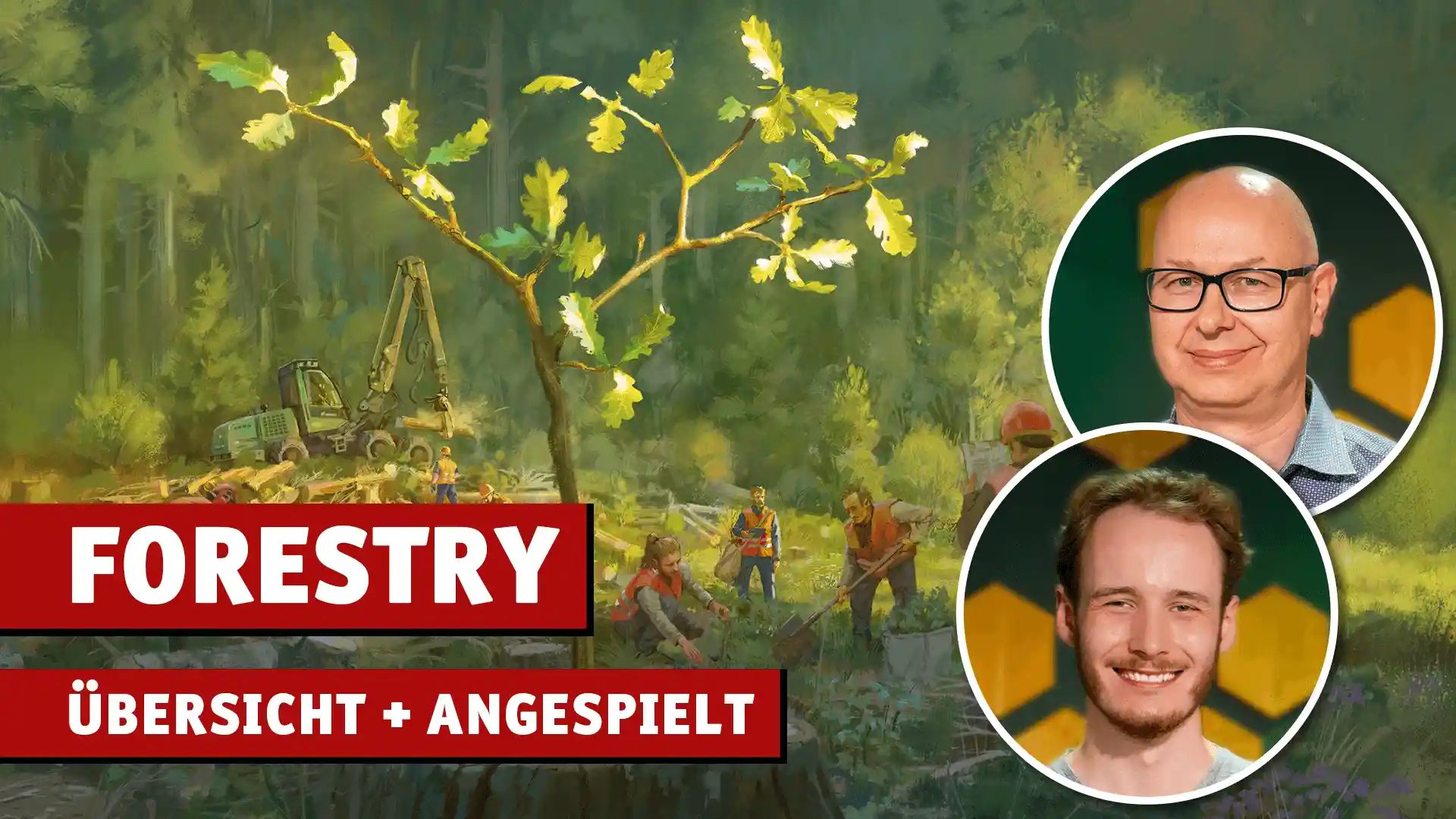 Thumbnail für Übersichtsvideo zum Brettspiel Forestry