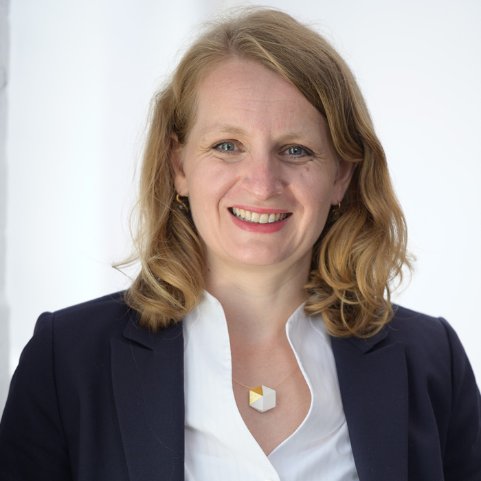 Technikersteuerung (Online-Praxisseminar)