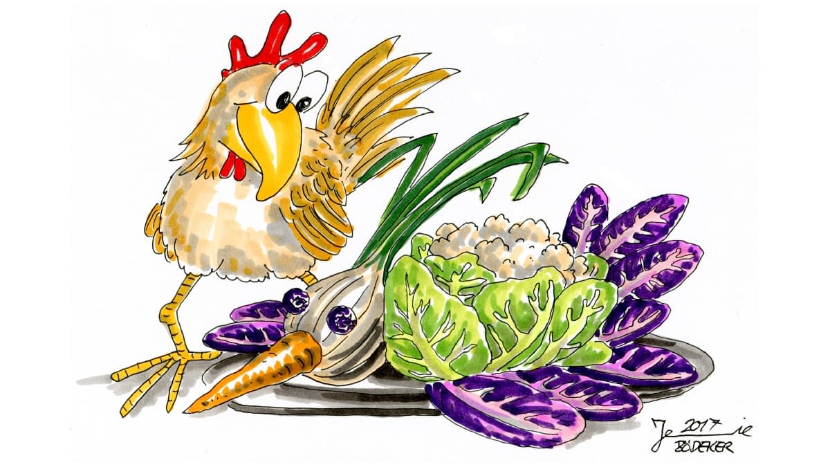 Zeichnung: Huhn mit Gemüsehuhn