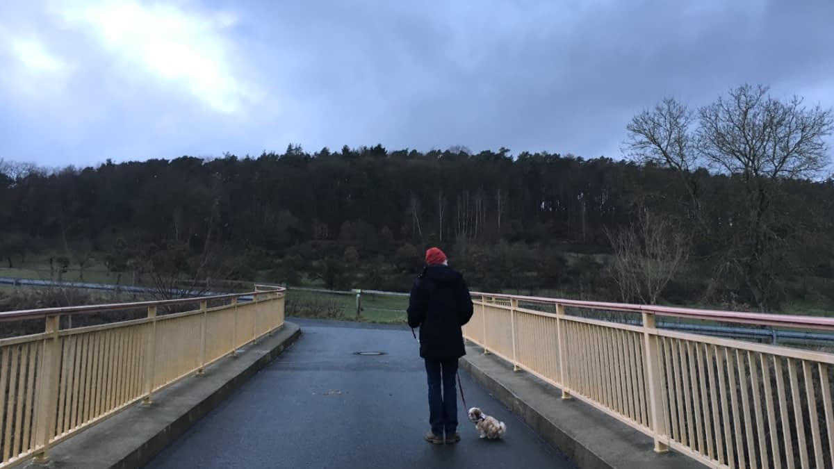 Mann mit Hund auf einer Brücke an einem grauen Herbsttag