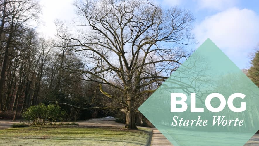 Starke Worte: Baum im Winter
