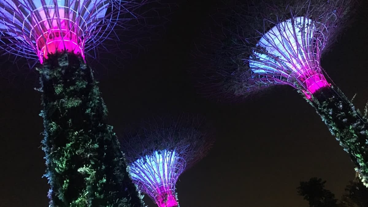 Gardens by Bay in der Nacht