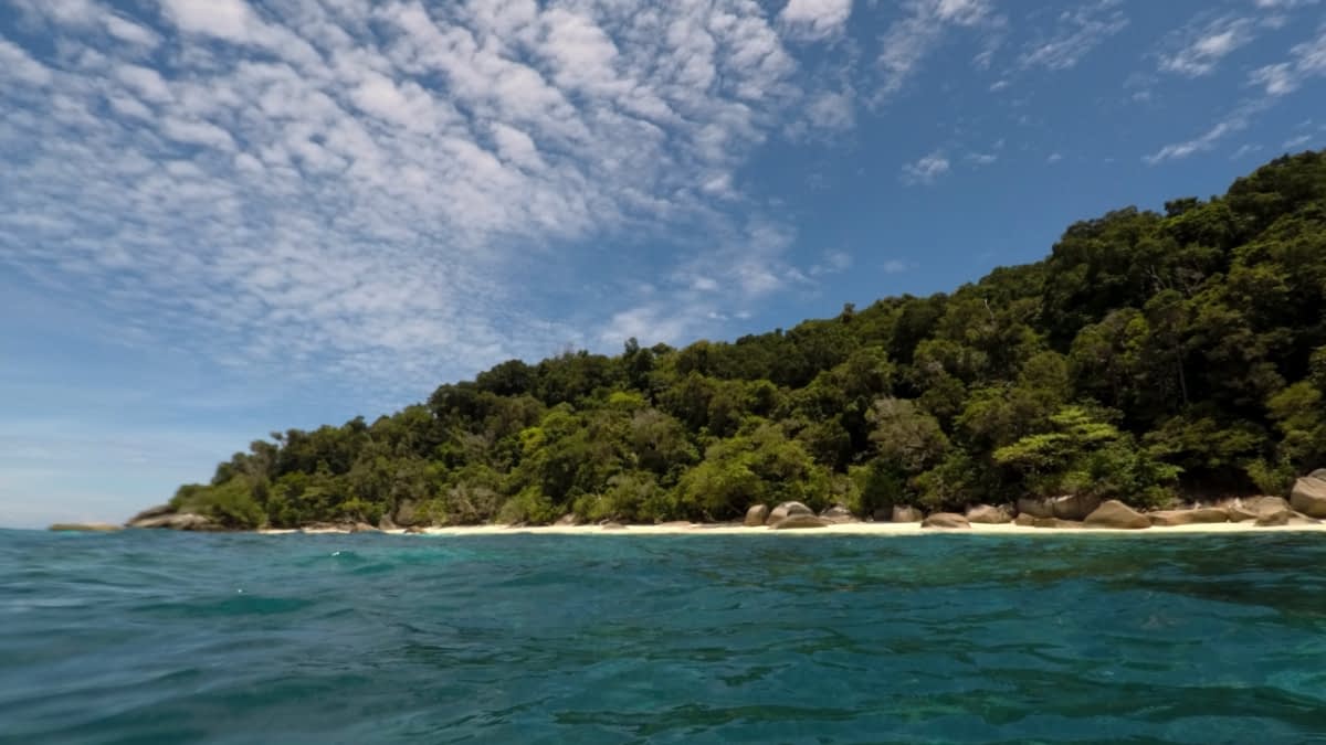 Strand und Meer mit Tropenwald