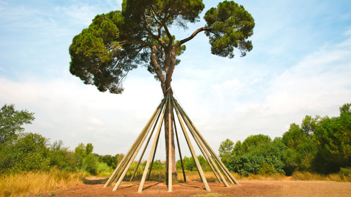 Symbolbild Baum mit Orthese