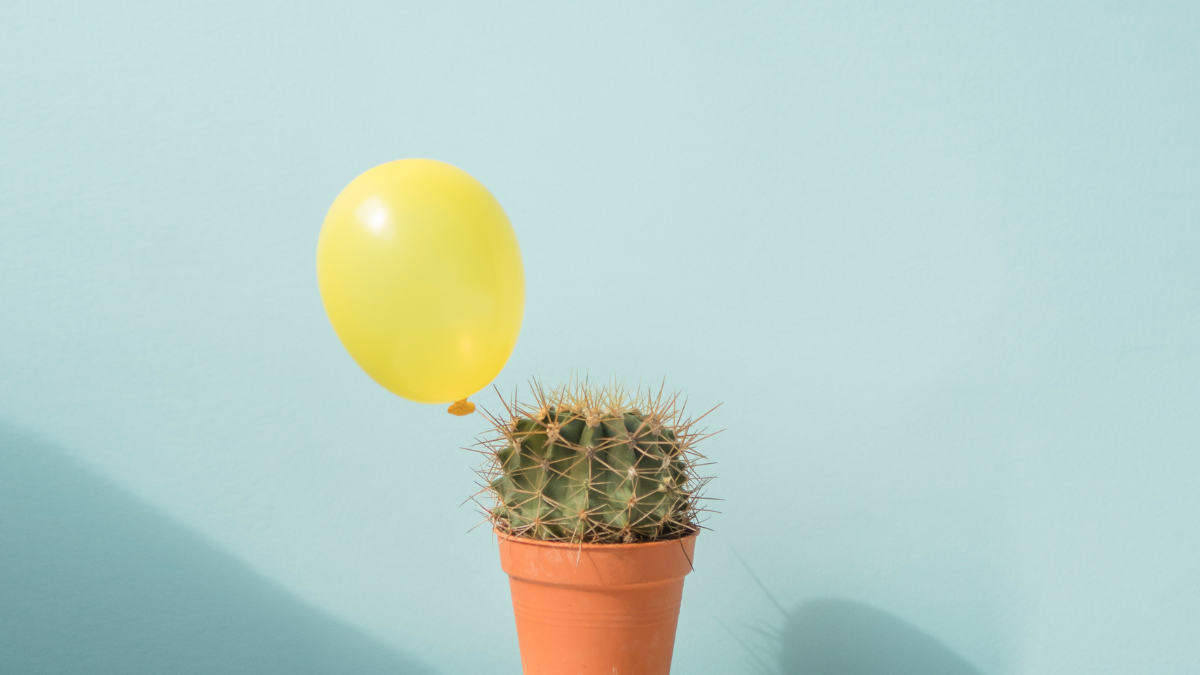 Kaktus als Sinnbild für Schmerzen bei MS Kaktus als Sinnbild für Schmerzen bei MS