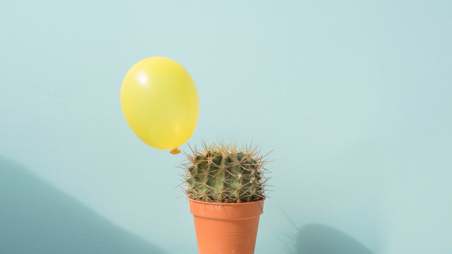 Kaktus als Sinnbild für Schmerzen bei MS