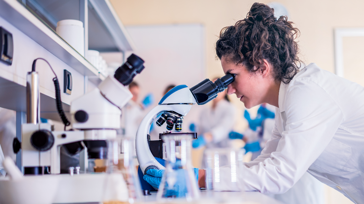 Vorläuferstadien der MS