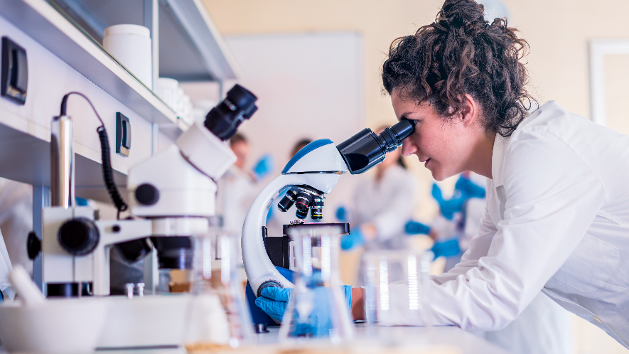 Vorläuferstadien der MS