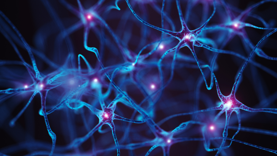 Neuronale Vernetzung