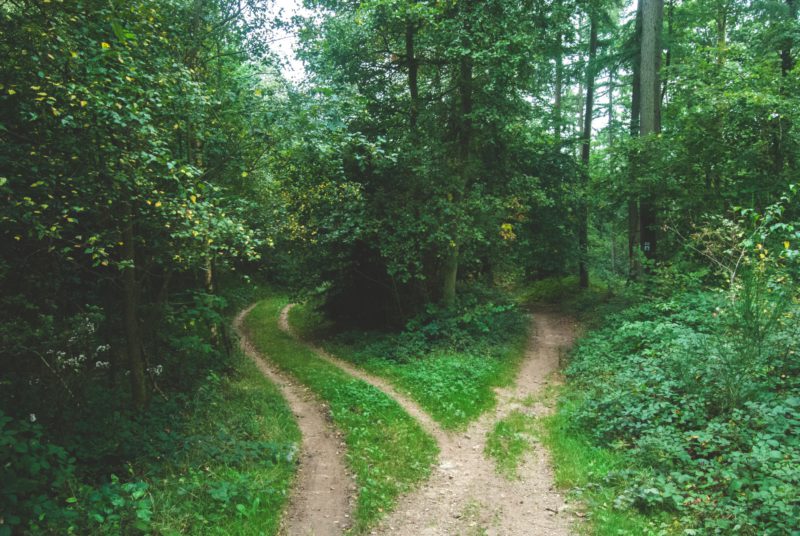 Jens Lelie 15662 Unsplash