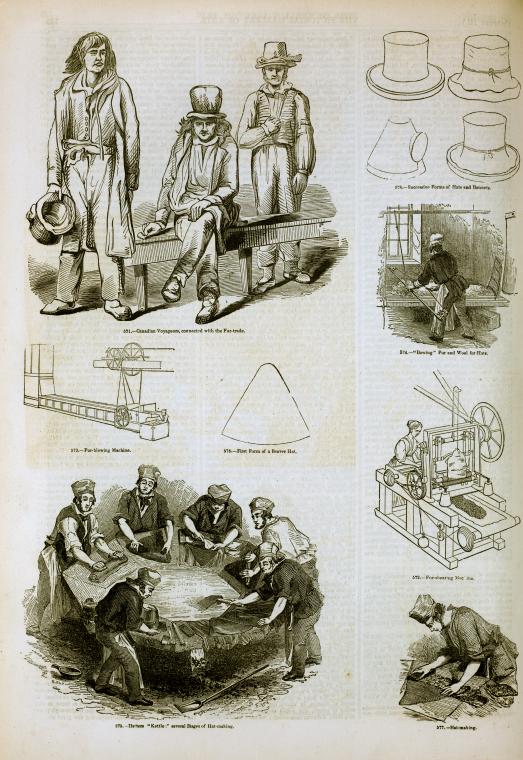 Colonización francesa, Galería Pictórica de las Artes de Charles Knight, Industria peletera canadiense, Inglaterra, 1858, StudySmarter.