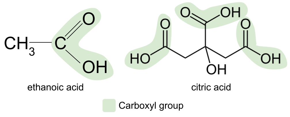 Ejemplos de ácidos carboxílicos Grupo Carbonilo StudySmarter