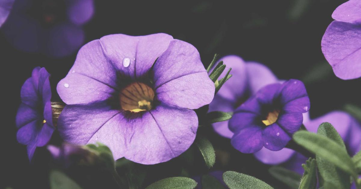 header-04.jpg-9add7b154b6ce18ca6ed7780a699eebf.jpg