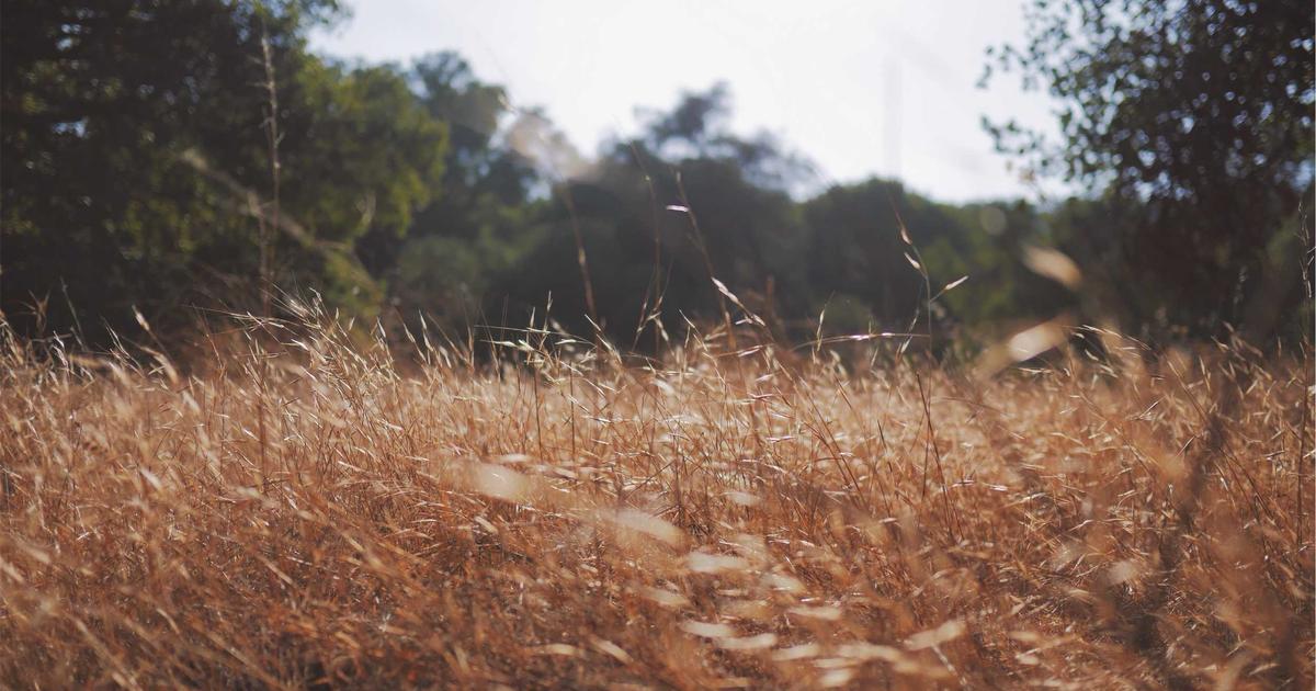 header-05.jpg-08956de6843ad6817153464969a5f664.jpg