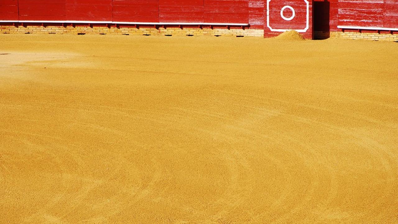 Plaza de Toros de Torres de Alameda