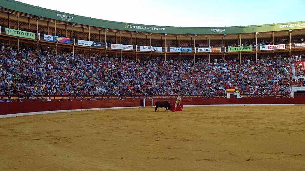 Plaza de Toros de Murcia "La Condomina"