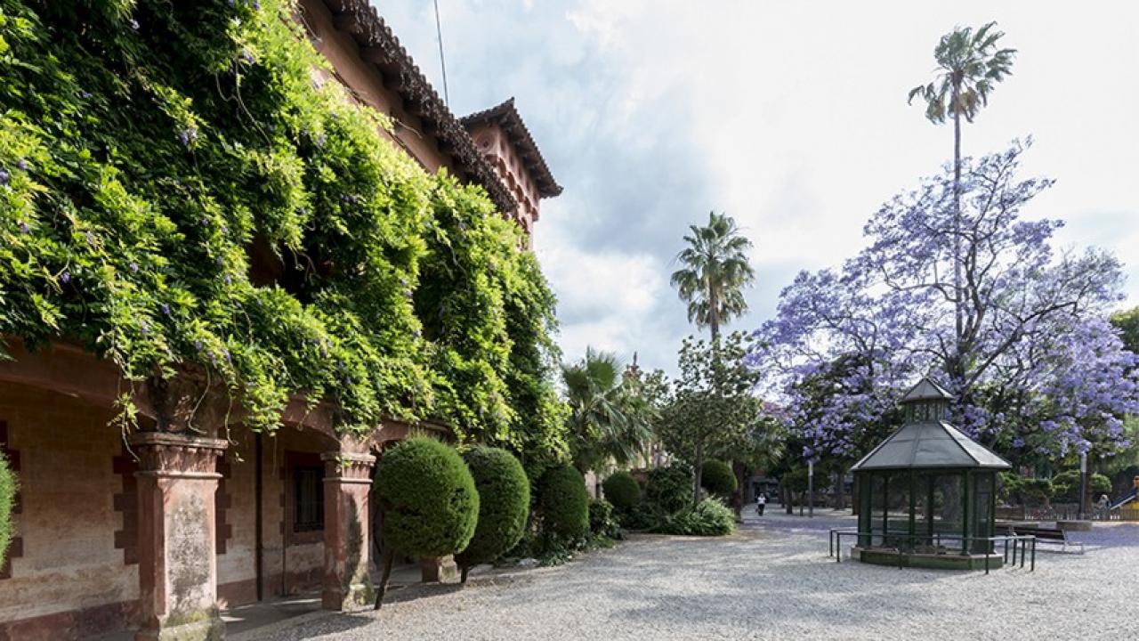 Jardines de Magdalena Modolell