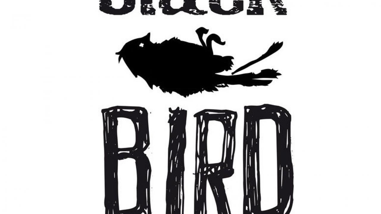 Sala Black Bird Club (Santander)