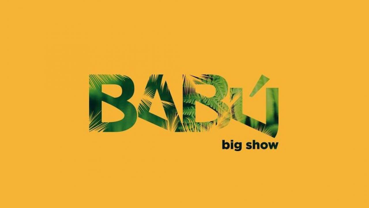 Sala Babu Big Show