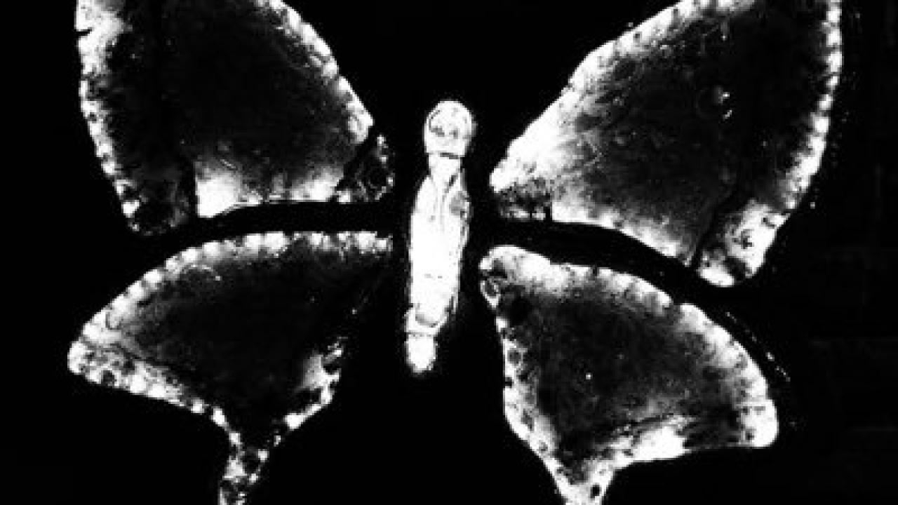 El Volander Café Pub