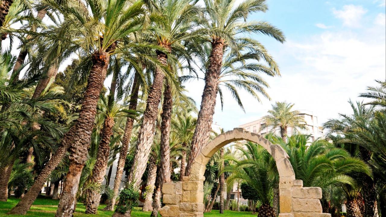Parque Municipal de Elche