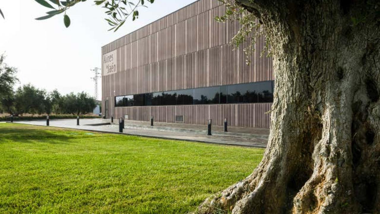 Finca Badenes - Aires de Jaén