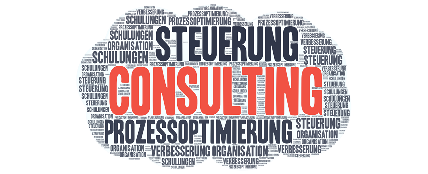 Consulting von Boost Bird
