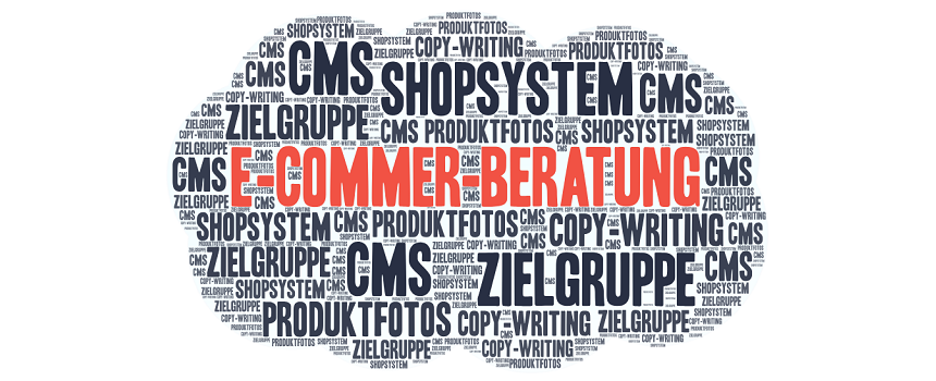 Tagcloud_Ecommerce-Beratung_Boost_Bird