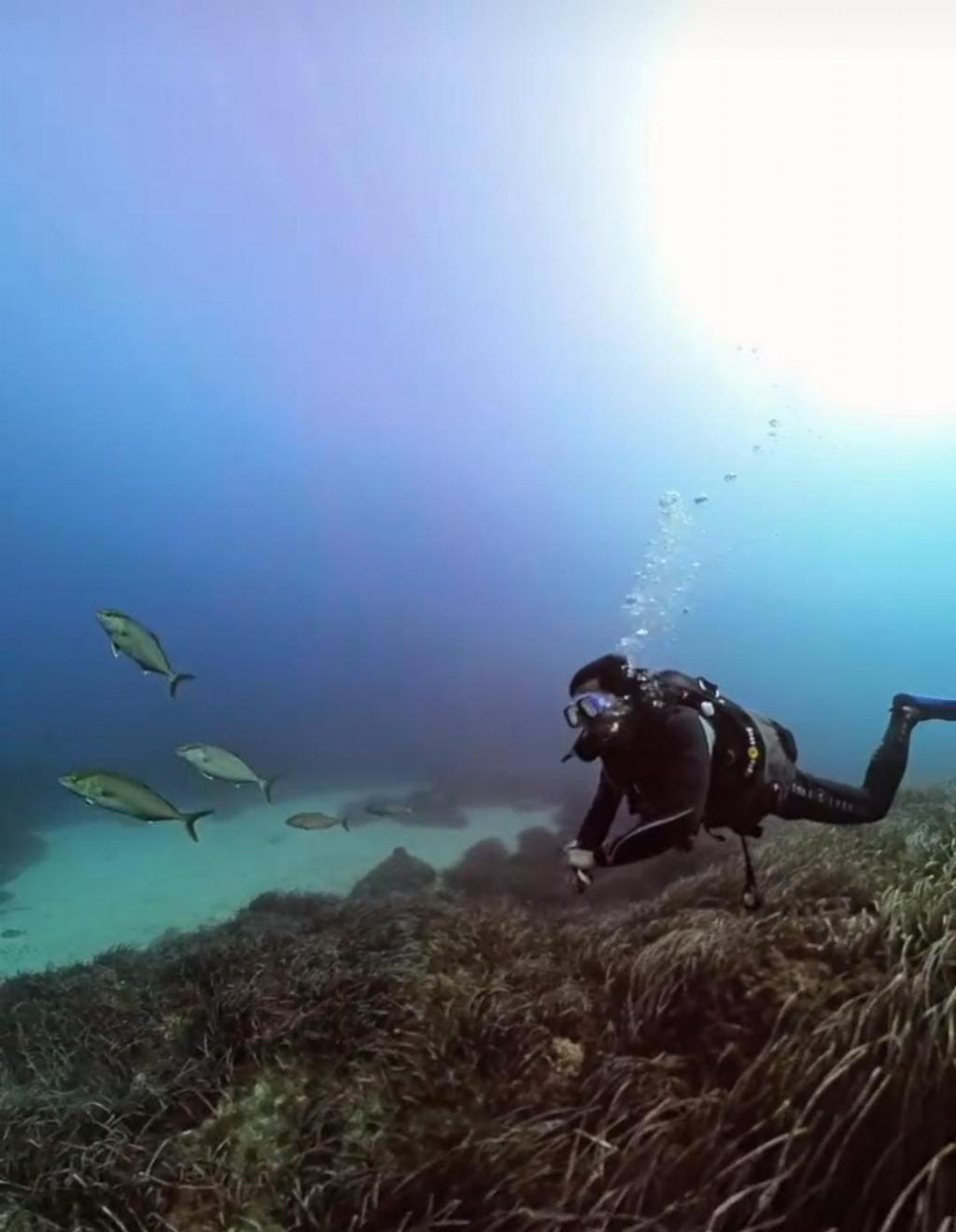 Foto tomada en Parrot Cove. Subida por Tengku Zahasman el oct 26, 2025
